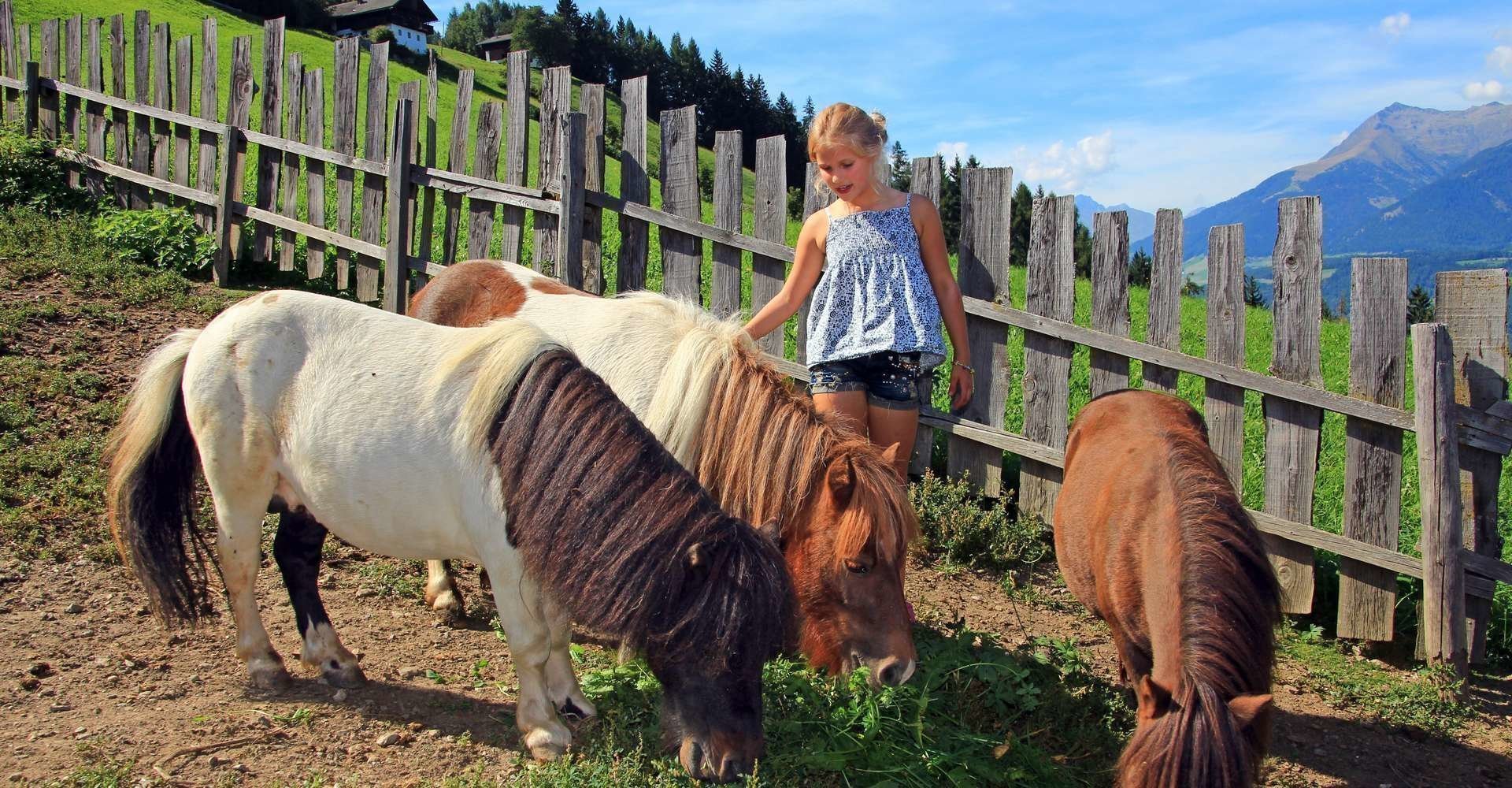 tiere-am-bauernhof 